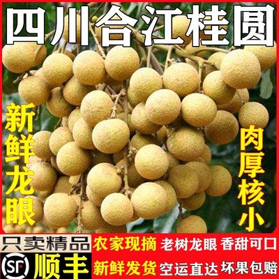现摘现发新鲜龙眼桂圆降价销售