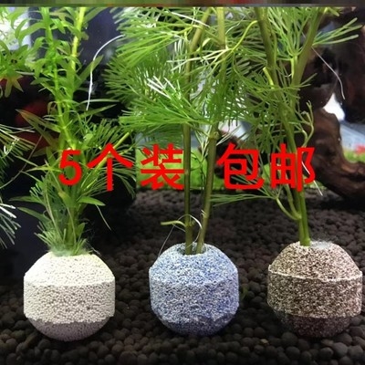 水草固定底座质量怎么样 水草固定底座口碑怎么样 小麦优选