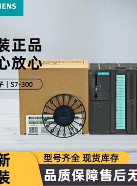 6ES7313-5BG04-0AB0全新原装S7-300CPU313C 控制器PLC模块现货
