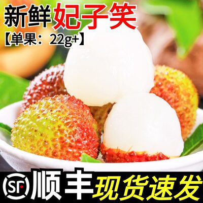 【妃子笑荔枝】现货！24h速发