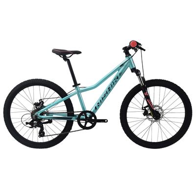 尼西克铝合金山地车NISHIKI