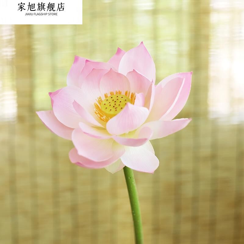 彷真荷花pu带杆荷叶荷花单枝装饰假花水池水面莲花绢花莲蓬大荷