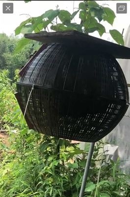 黄脚葫芦控王笼蜂王胡蜂防逃笼马蜂放养箱胡峰筑巢蜂控王笼胡蜂笼
