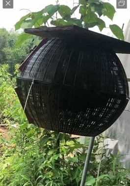 黄脚葫芦控王笼蜂王胡蜂防逃笼马蜂放养箱胡峰筑巢蜂控王笼胡蜂笼