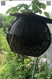 黄脚葫芦控王笼蜂王胡蜂防逃笼马蜂放养箱胡峰筑巢蜂控王笼胡蜂笼