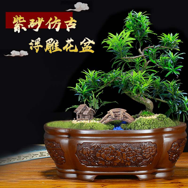 紫砂花盆海棠盆景盆简约多肉植物花卉盆栽陶瓷花盆长方形盆景