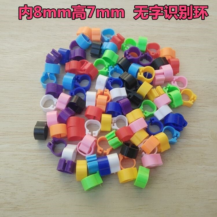 鸽子脚环2021年信鸽足环21年识别环记号脚环脚圈信鸽用品赛鸽专用