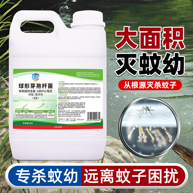 球形芽孢杆菌灭蚊幼孑孓蝇蛆杀幼蚊幼卵蚊子药处理滋生地灭蚊幼虫