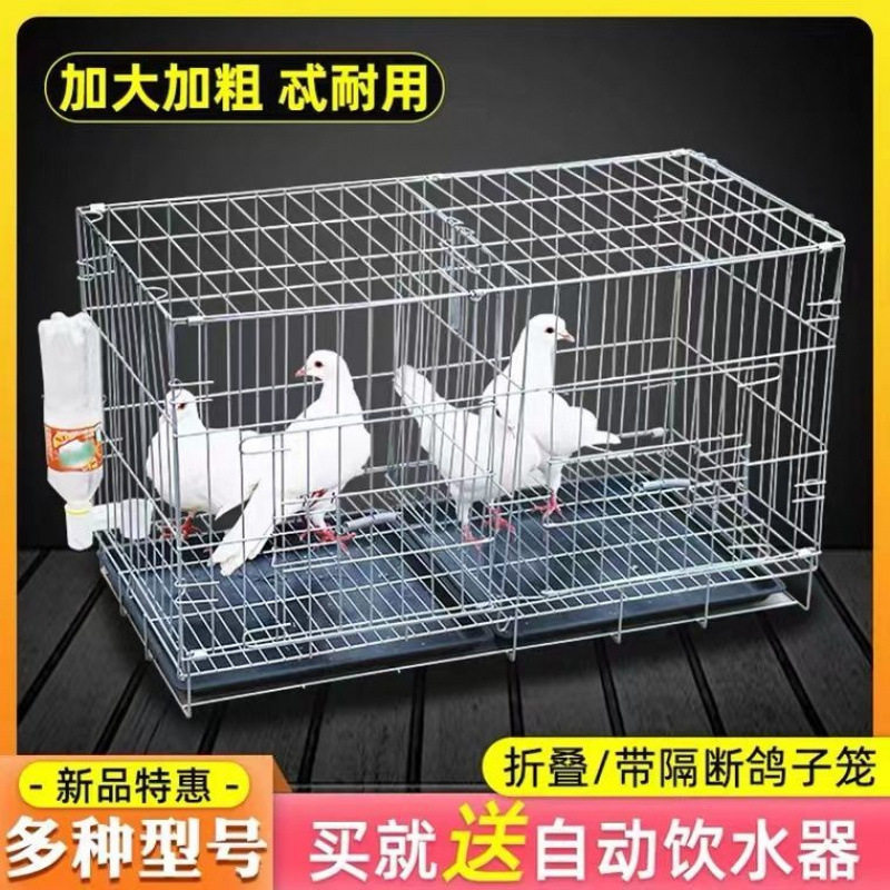 鸽子笼折叠养殖笼鸽子配对笼白鸽子笼家用鸽子用品鸡笼鸽子窝直销