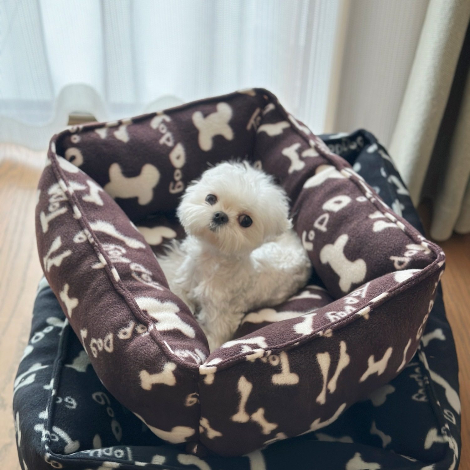 黑色格子款耐脏狗窝中小型犬狗垫沙发软窝猫窝秋冬耐脏狗床猫窝,宠物/宠物食品及用品,狗窝/屋/帐篷/沙发,淘宝优惠券,粉丝福利购,淘宝优惠卷