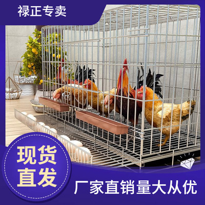 家庭阳台商用养鸡笼鸡笼的农村关鸡笼无臭养鸡笼鸡鸭养专业垒德株