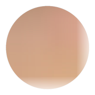 翠冠梨树苗 南汇翠冠梨苗 嫁接蜜梨苗 翠冠梨82梨树苗当年结果树