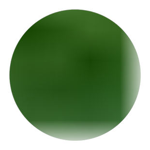 葡萄苗南方种植北方品种嫁接一树多果蓝宝石室内室外盆栽葡萄树苗