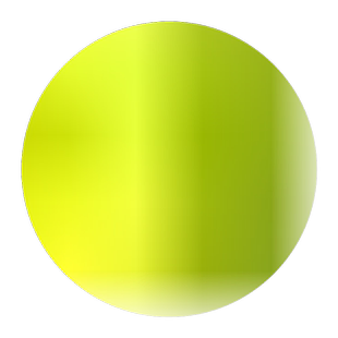 小叶桢楠金丝楠木树苗稀有名贵树黄花梨红豆杉大小苗四川正宗苗木