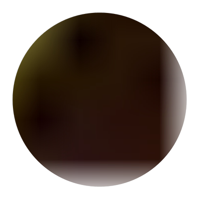 四川苍溪红心猕猴桃苗嫁接东红阳蒲江金艳猕猴桃树果苗泥弥猴桃苗