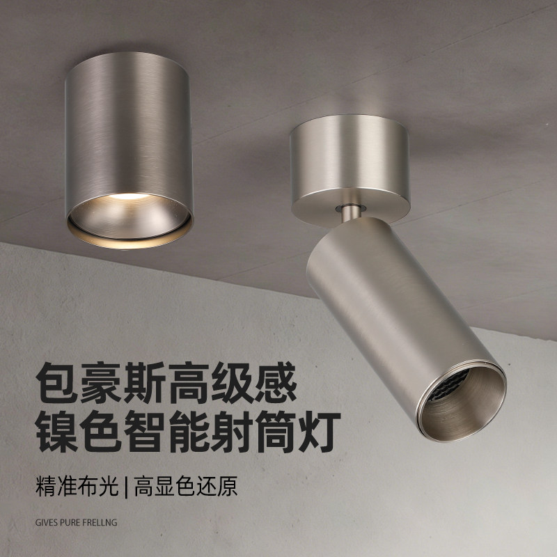 包豪斯明装射灯高级感射筒灯镍色图片