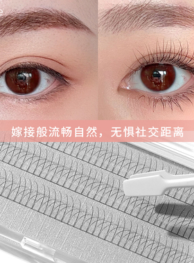 Dark Swan X Buster Knight联名款Silk单根式极细梗单簇假睫毛