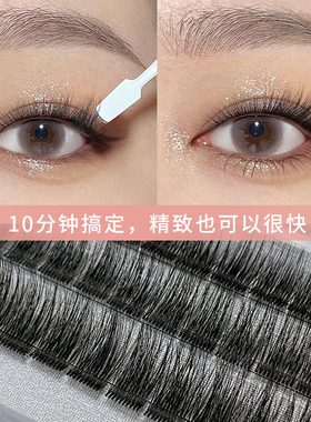 Dark Swan 睫毛 04款 浓密嫁接睫毛女自然仿真单簇假睫毛