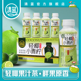 清藍 飲品 輕椰小青檸飲料0脂檸檬汁烏龍茶果汁清爽解膩解暑夏季