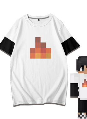 Sapnap Dream TeamSMP短袖男女T恤青少年儿童我的世界周边衣服