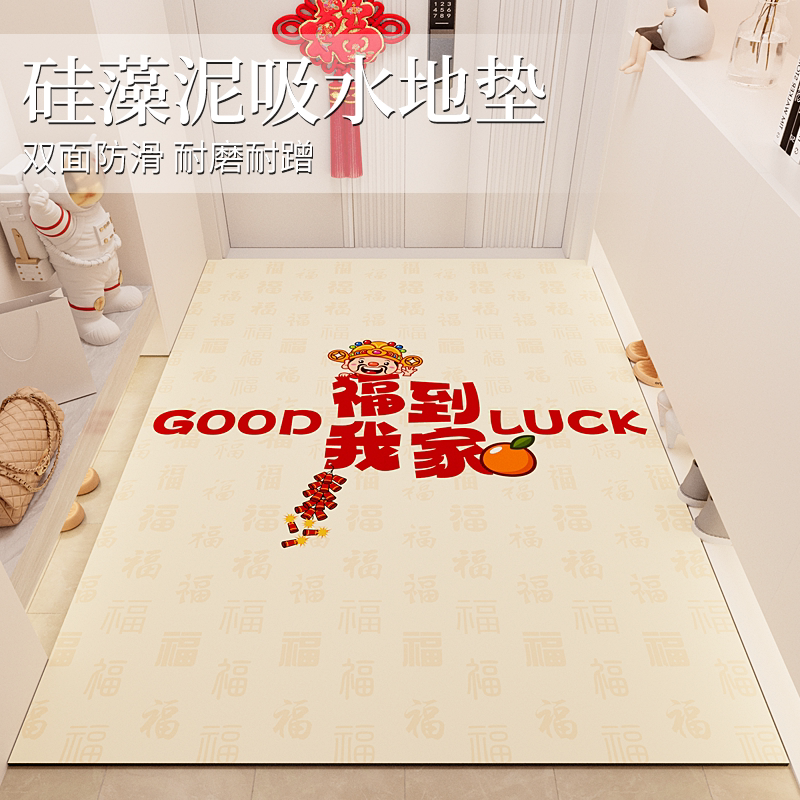 入户门地垫免洗耐脏进门脚垫