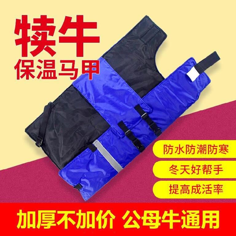 绑带式牛犊保暖衣牛犊马甲保暖加厚防寒衣养牛牧场小奶牛牢固牛崽