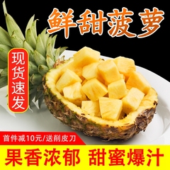 新鲜甜大菠萝水果10斤装当季水果香水菠萝整箱广东徐闻凤梨菠萝