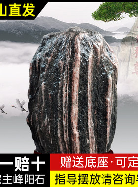 泰山石摆件家居客厅招财正宗泰山石敢当天然原石镇宅石室内靠山石