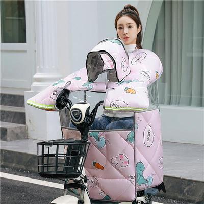 坐站两用冬季亲子款电动车挡风被加绒厚防水全景天窗前后双膜可视