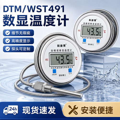 数显温度计工业用带探头WST/DTM491高精度耐酸碱防水数字测水温表