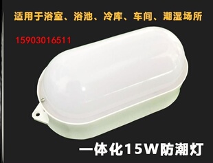 36V低电压泡罩耐低温照明灯冷库专用灯保鲜库低压。12v冷鲜库15W