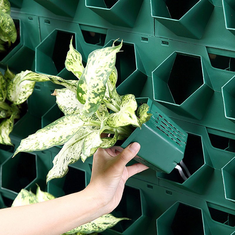 速发蜂巢系立垂直绿化植物墙花体统盆绿化组合挂墙种植盒壁挂式容
