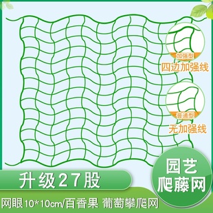 饰D网苦瓜菜园彩色葡萄网格吊顶 植物爬藤网尼龙网网绳家用果园装
