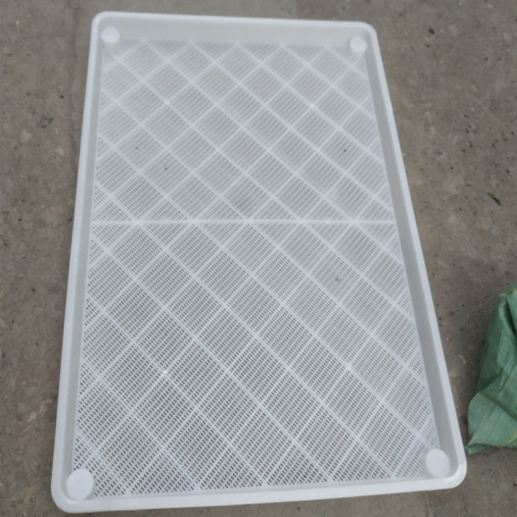 现货速发蚕塑料匾小工具蚕户养蚕专用簸箕耐用养蚕蚕箔养殖匾喂蚕