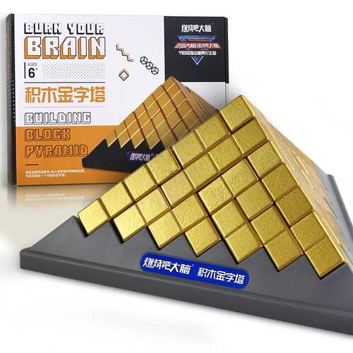 燃烧吧大脑同款益智拼图玩具积木