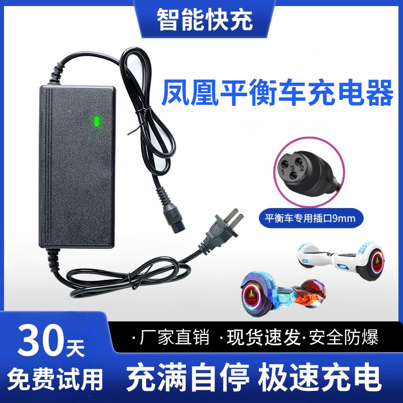 凤凰电动平衡车充电器三孔头