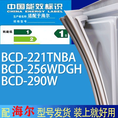 适用海尔冰箱BCD-221TNBA 256WDGH 290W门密封条胶条吸力磁条圈