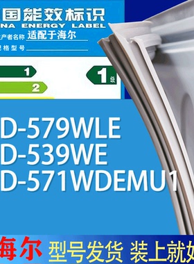 适用海尔冰箱BCD-579WLE 539WE 571WDEMU1门密封条胶条吸力磁条圈