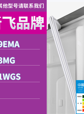 适用新飞冰箱BCD-229EMA 223MG 261WGS门密封条胶条磁性密封圈