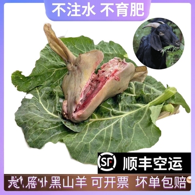 纯肉羊脸农家带皮黑山羊肉羊头