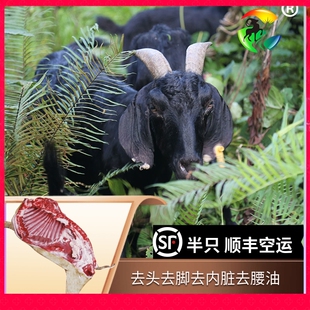 半只农家散养带皮山羊肉新鲜现杀黑山羊肉包邮羊腿羊排羊腩生羊肉