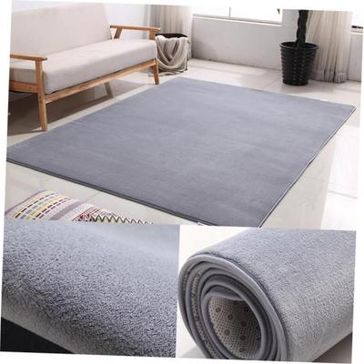 Carpet bedroom bed blanket living room blanket floor mat rug