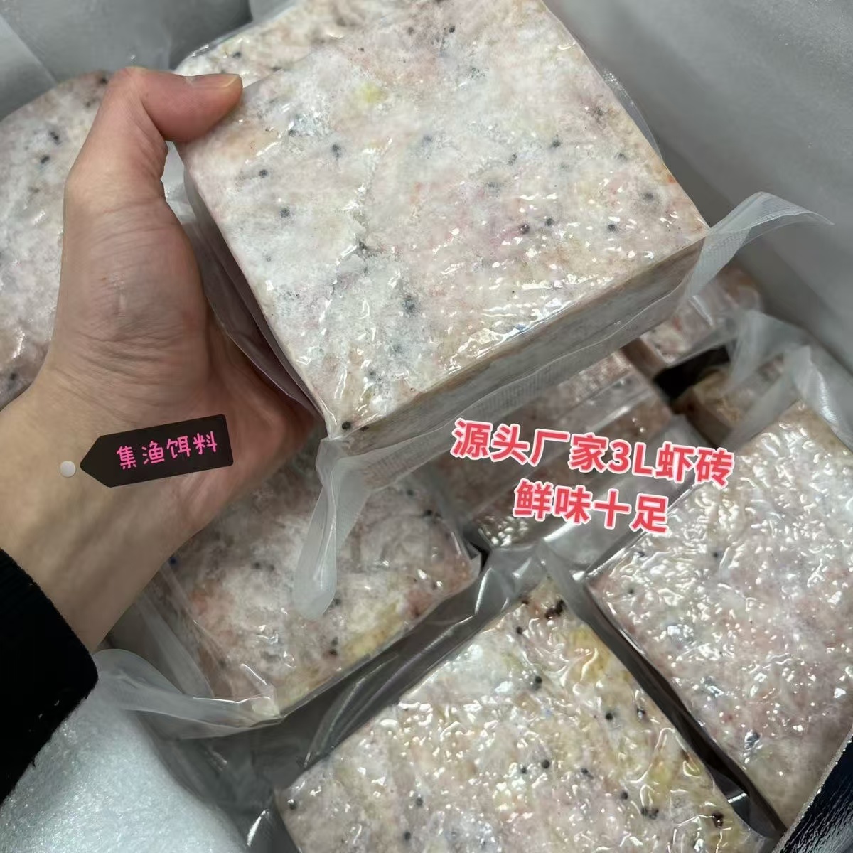 捕获大号海鱼专用冷冻窝砖