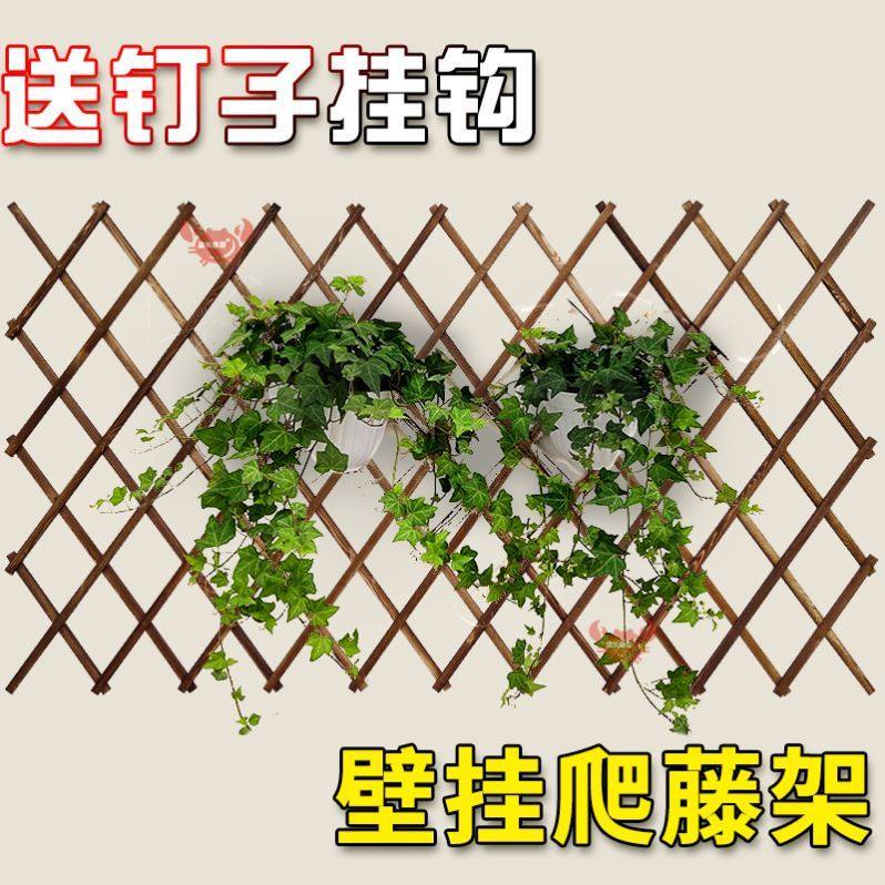 绿萝支架爬藤架客厅绿萝爬墙神器墙面挂架爬藤支架杆爬藤网