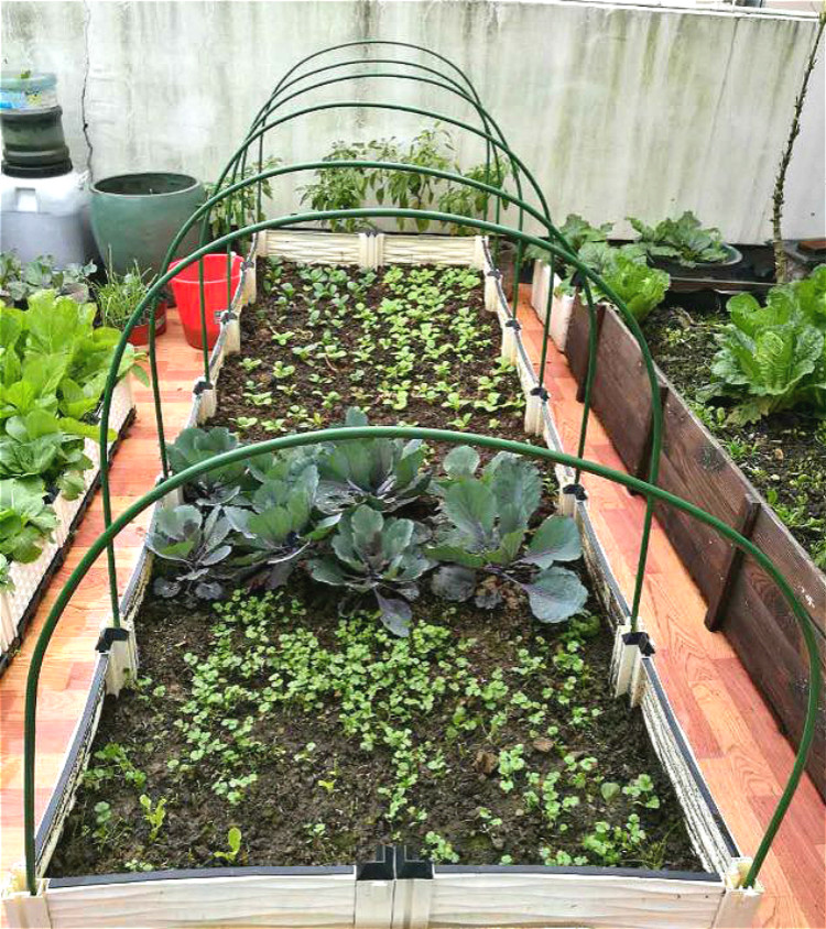 家庭暖房遮阳大棚骨架钢管农业简易农用户外支架喷雾器花棚温房