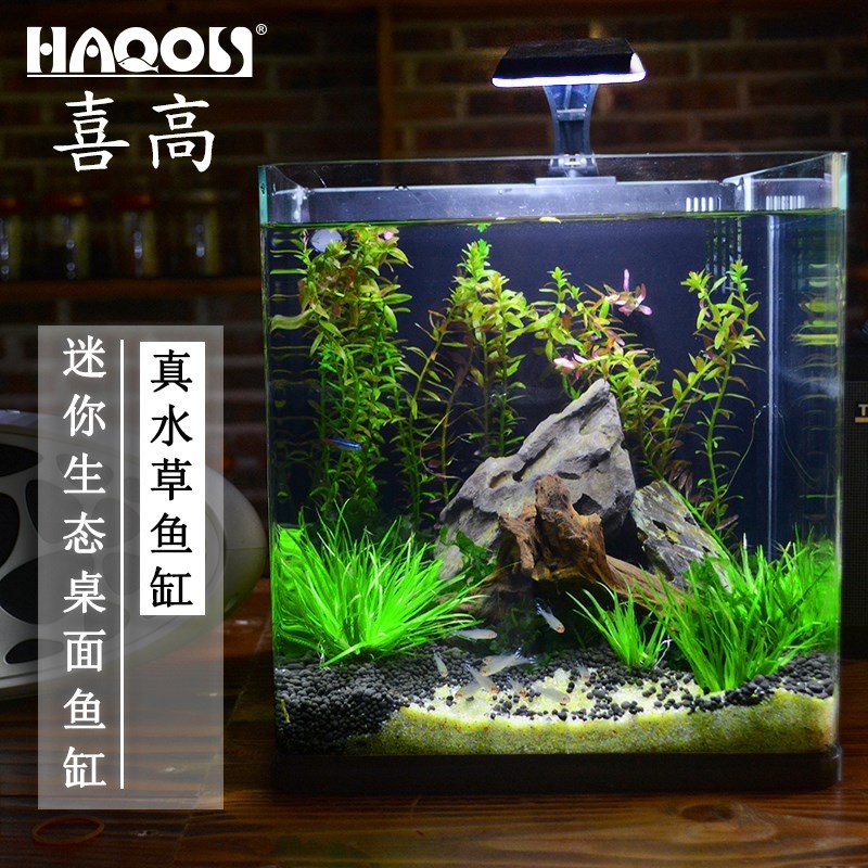 小型迷你方型创意客厅办公室桌面水草造景金鱼热带鱼微鱼缸海水缸