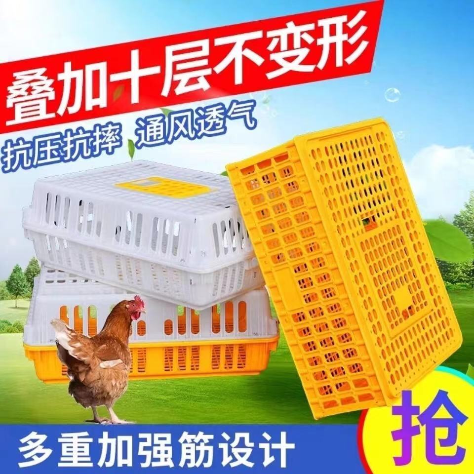 家禽售卖运输筐加厚塑料鸡鸭笼兔笼长方形摔不烂养殖笼大笼门鸽笼