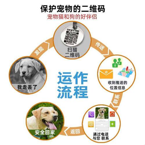定位二维码不锈钢电子防丢宠物铭牌耐刻防丢狗牌猫咪吊牌