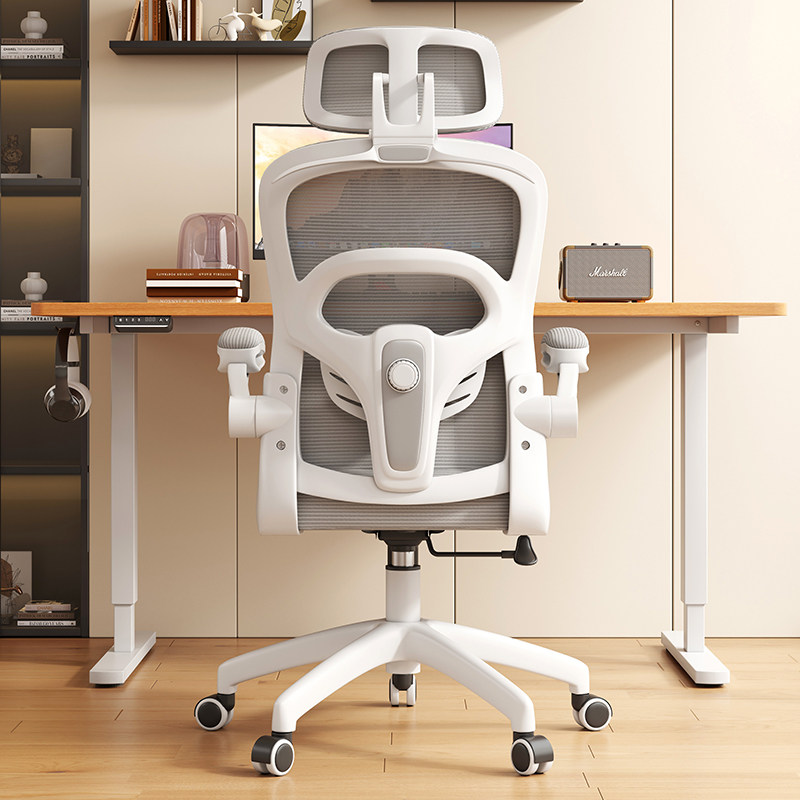电脑椅久坐不累家用办公椅子舒适电竞座椅升降学习护腰人体工学椅