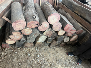 包邮 缅甸酸枝木原木料摆件根雕摆件笔筒料圆筒料烟筒料20元 一公斤